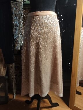 Anthropologie Champagne Sequin Maxi Skirt Size 8